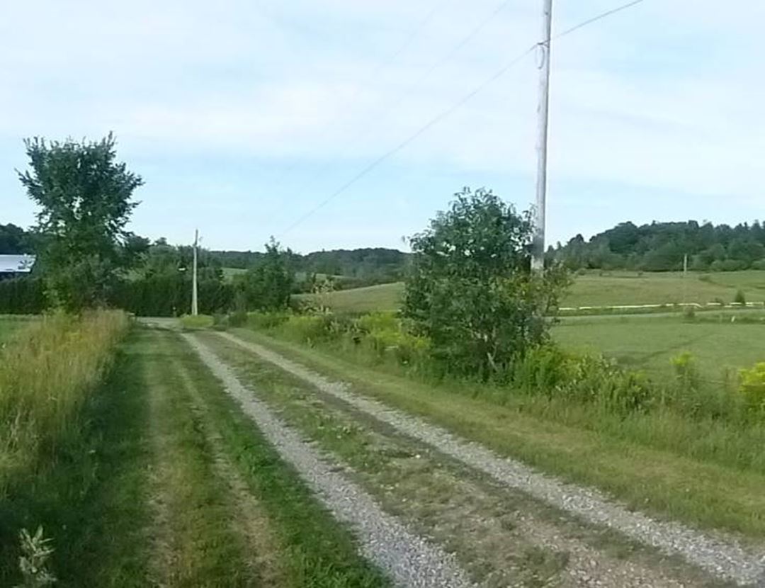 The path to the pasture